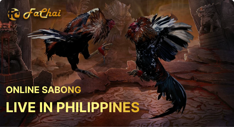 Online Sabong Live Philippines: Sabong Online You Need to Know