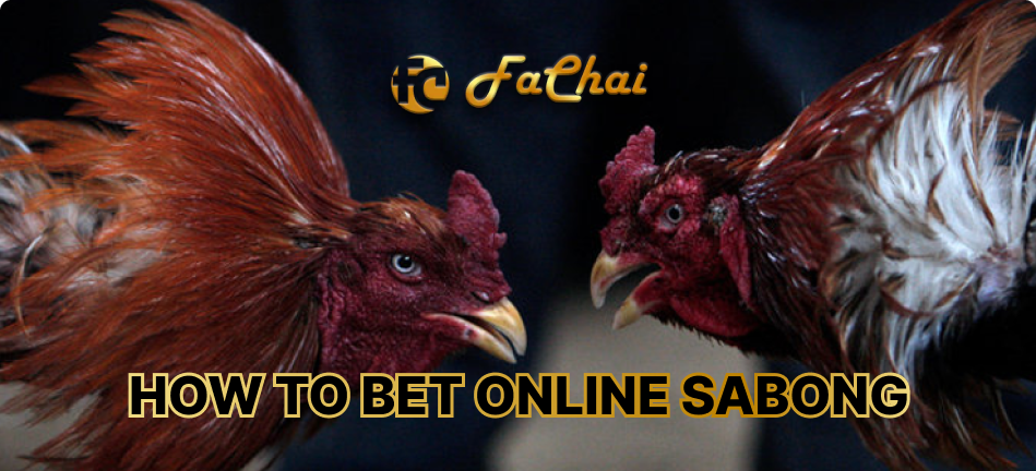 How to Place Online Sabong Minimum Bet at Fachai Online Casino 