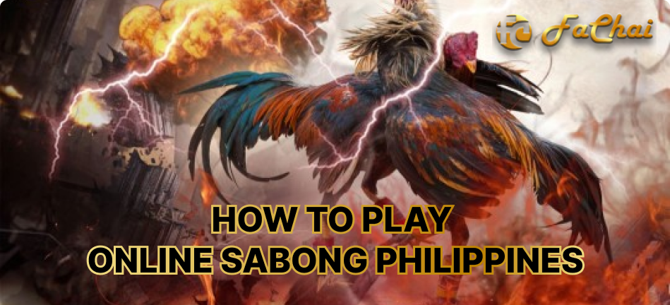 go sabong.com, link online sabong live, online sabomg, sabong online game, how to play online sabong philippines