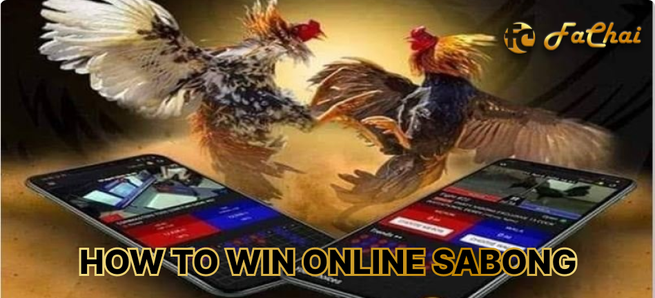 The Insider’s Guide to Winning at Online Sabong with FaChai