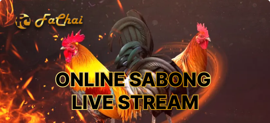 Sabong Online Betting – Everything you need to know about online Sabong