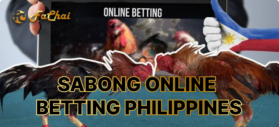 Your Sabong Best Home Online Cockfighting Philippines at Fachai 